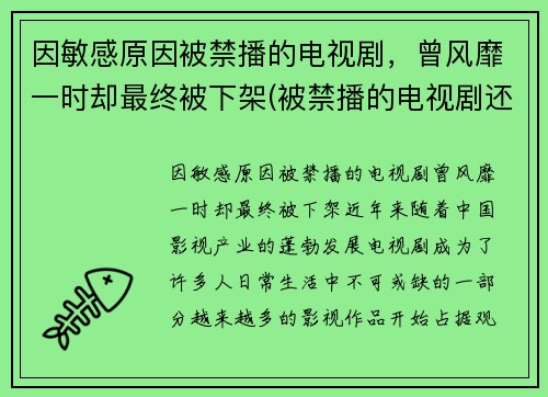 因敏感原因被禁播的电视剧，曾风靡一时却最终被下架(被禁播的电视剧还有版权吗)