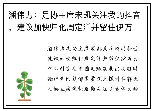 潘伟力：足协主席宋凯关注我的抖音，建议加快归化周定洋并留住伊万